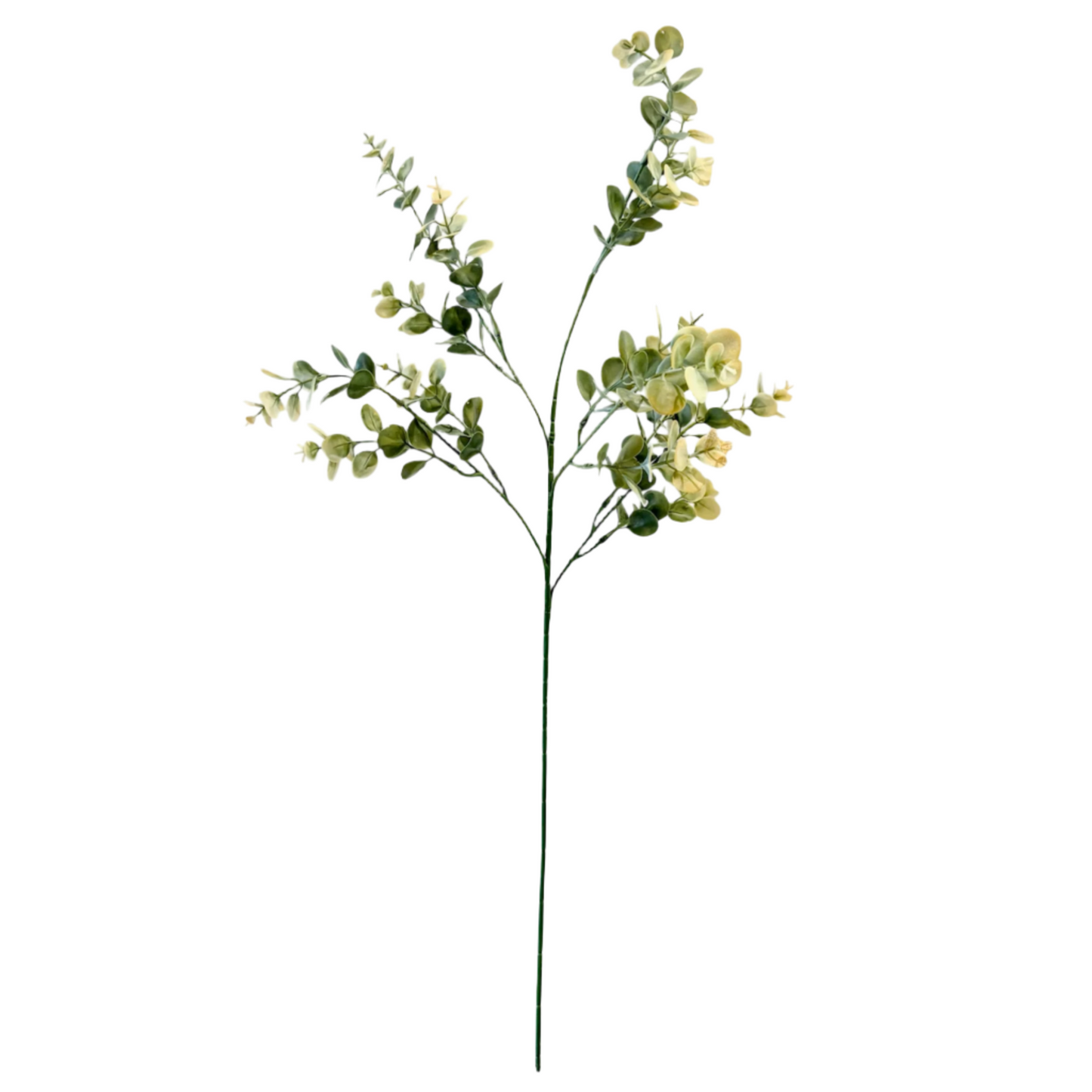 Artificial Eucalyptus Gum Stem