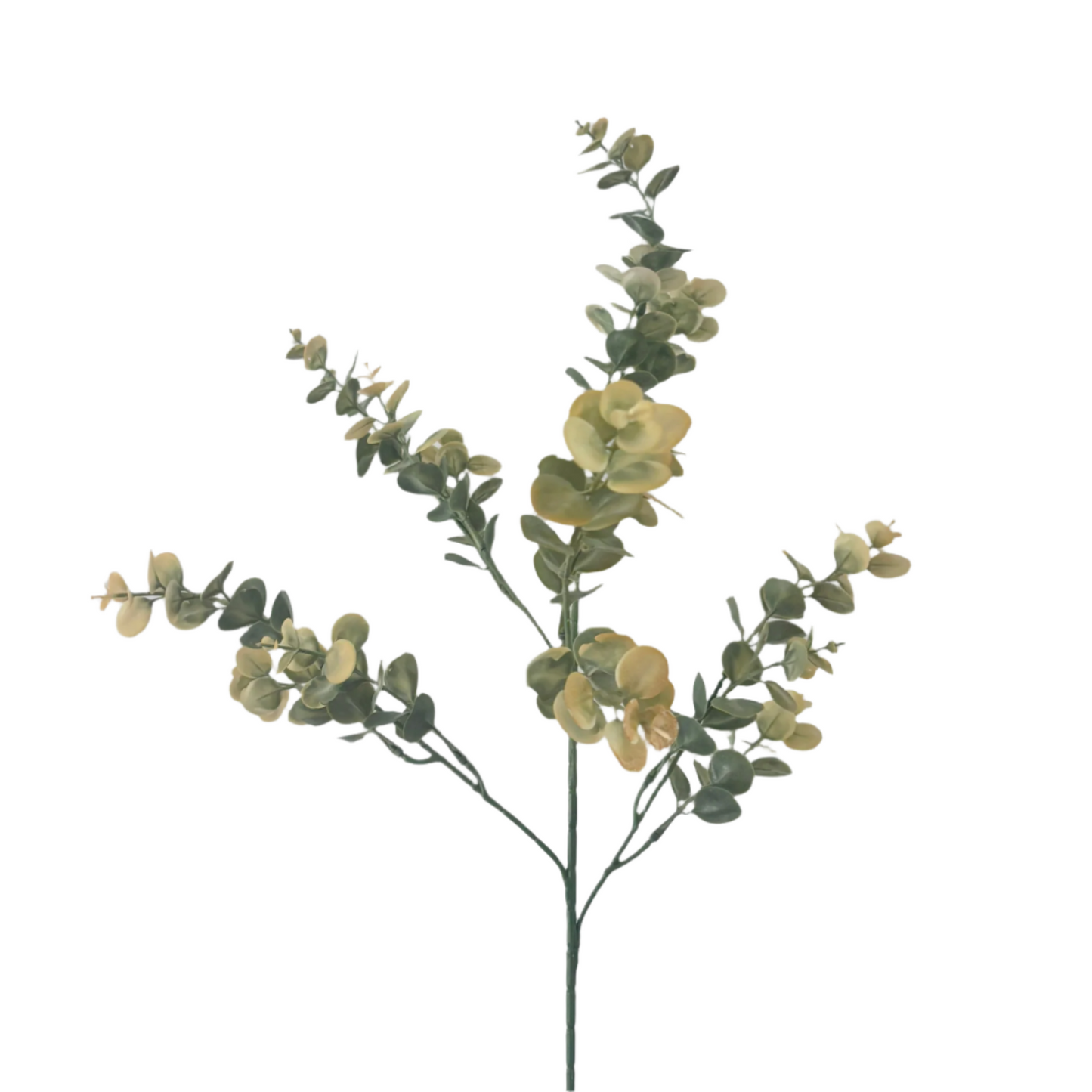 Stunning Artificial Eucalyptus Gum