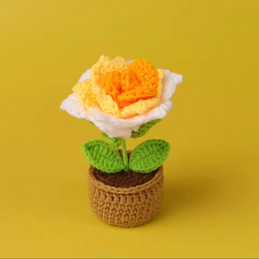 3pcs Crochet Flower Pots Set