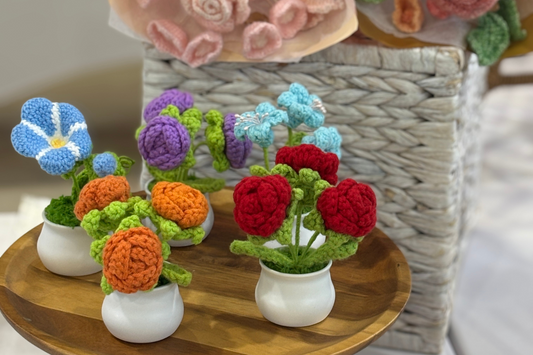 Everlasting Blooms for Your Home!