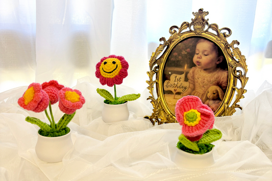 How 3Pcs Handmade Crochet Flower Pots Brighten Your Space