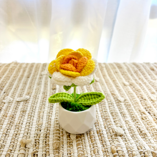 Handmade Crochet Flower in Pot