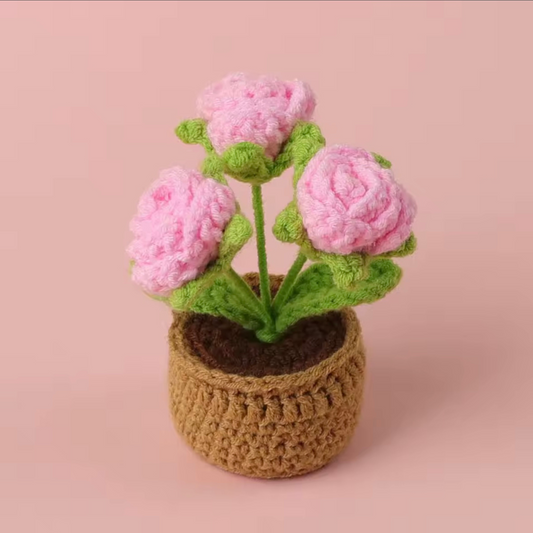 Crochet Pot | Pink Roses