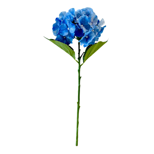 Blue Hydrangea