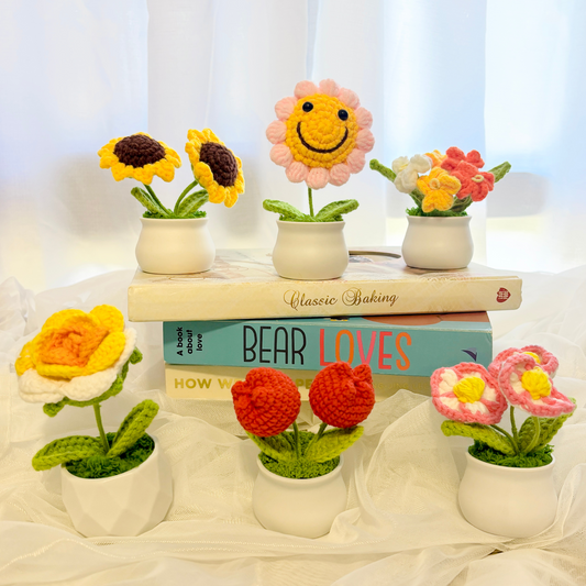 3pcs Crochet Flower Pot Set