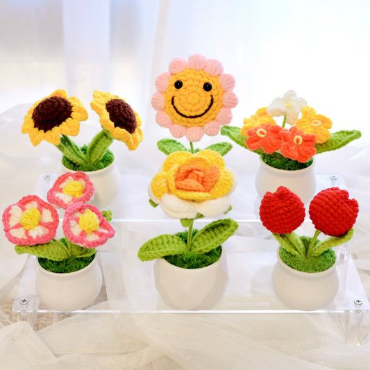 Cute 3Pcs Crochet Flower Pot Set