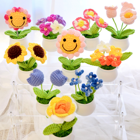 3pcs Crochet Flower Pot Set