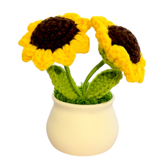 Cute 3Pcs Crochet Flower Pot Set
