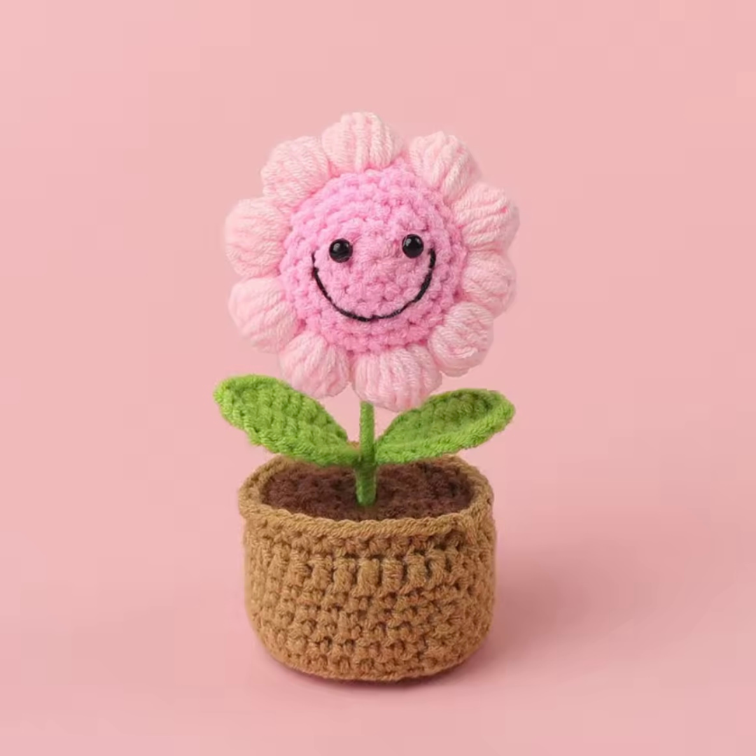 3pcs Crochet Flower Pots Set